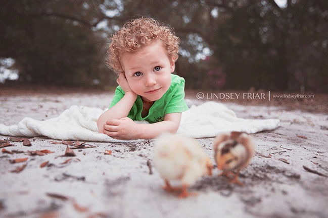 Pensacola, FL Photographer - Lindsey Friar Photography