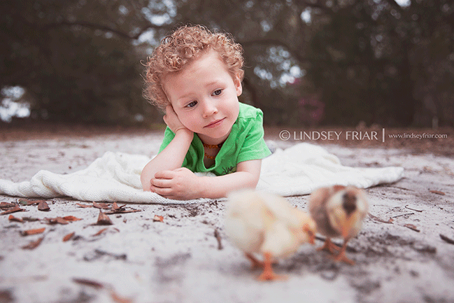 Pensacola, FL Photographer - Lindsey Friar Photography