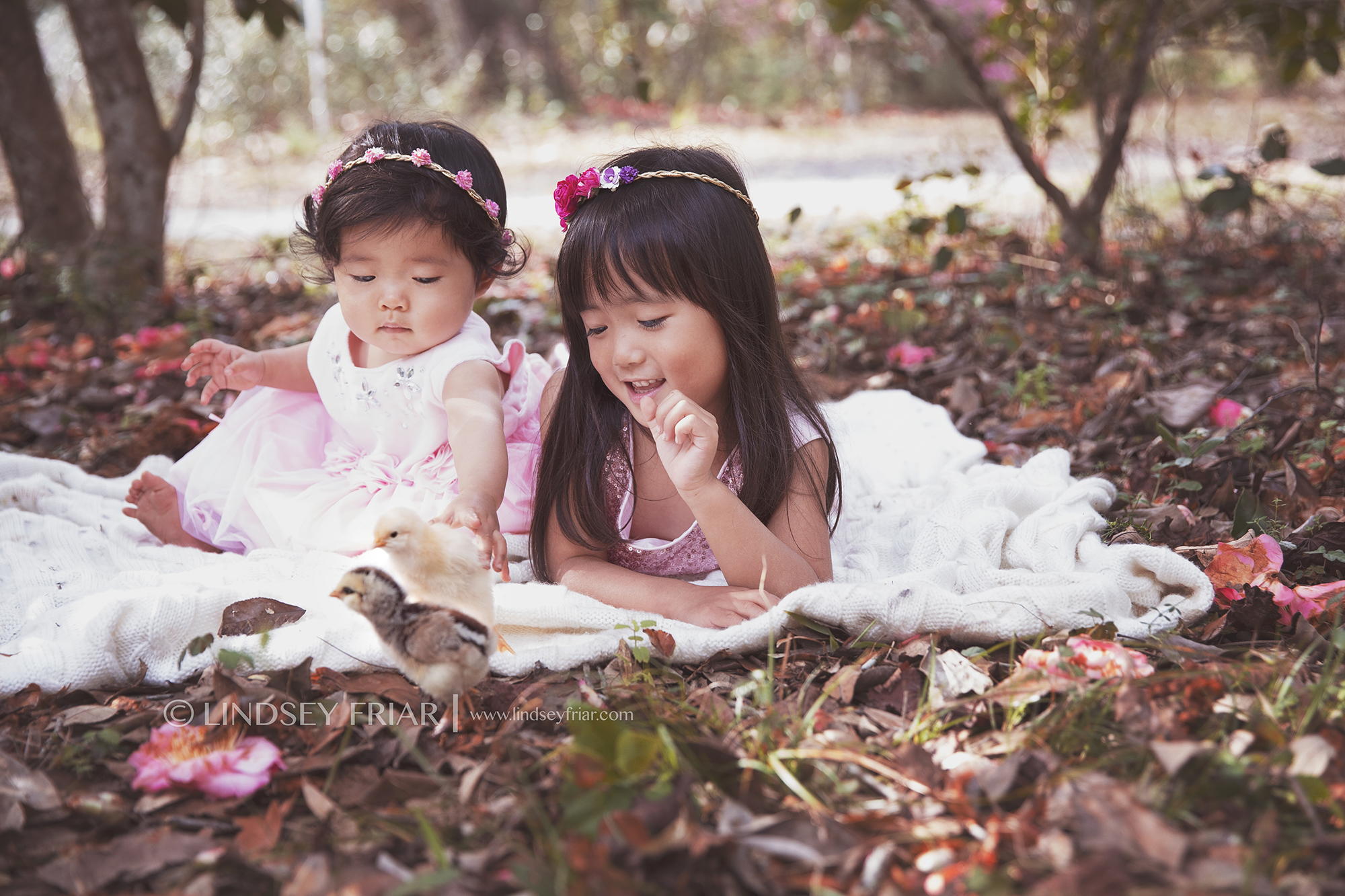 Pensacola Child Photographer - Lindsey Friar Photography