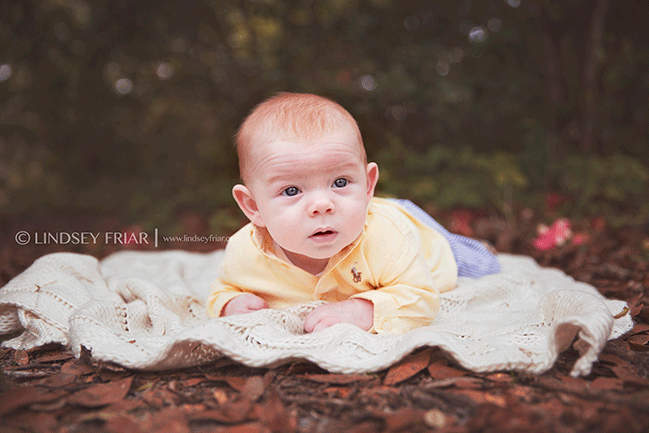 Pensacola Child Photographer - Lindsey Friar Photography Pensacola Child Photographer - Lindsey Friar Photography