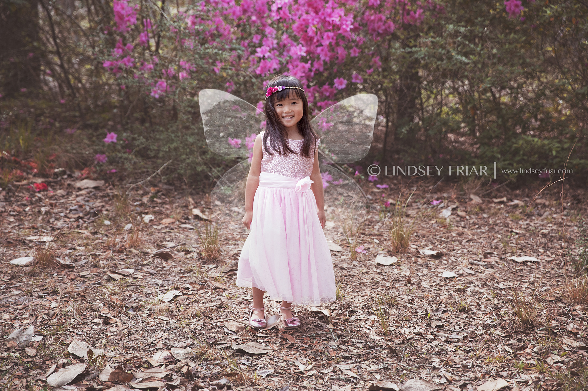 Pensacola Child Photographer - Lindsey Friar Photography