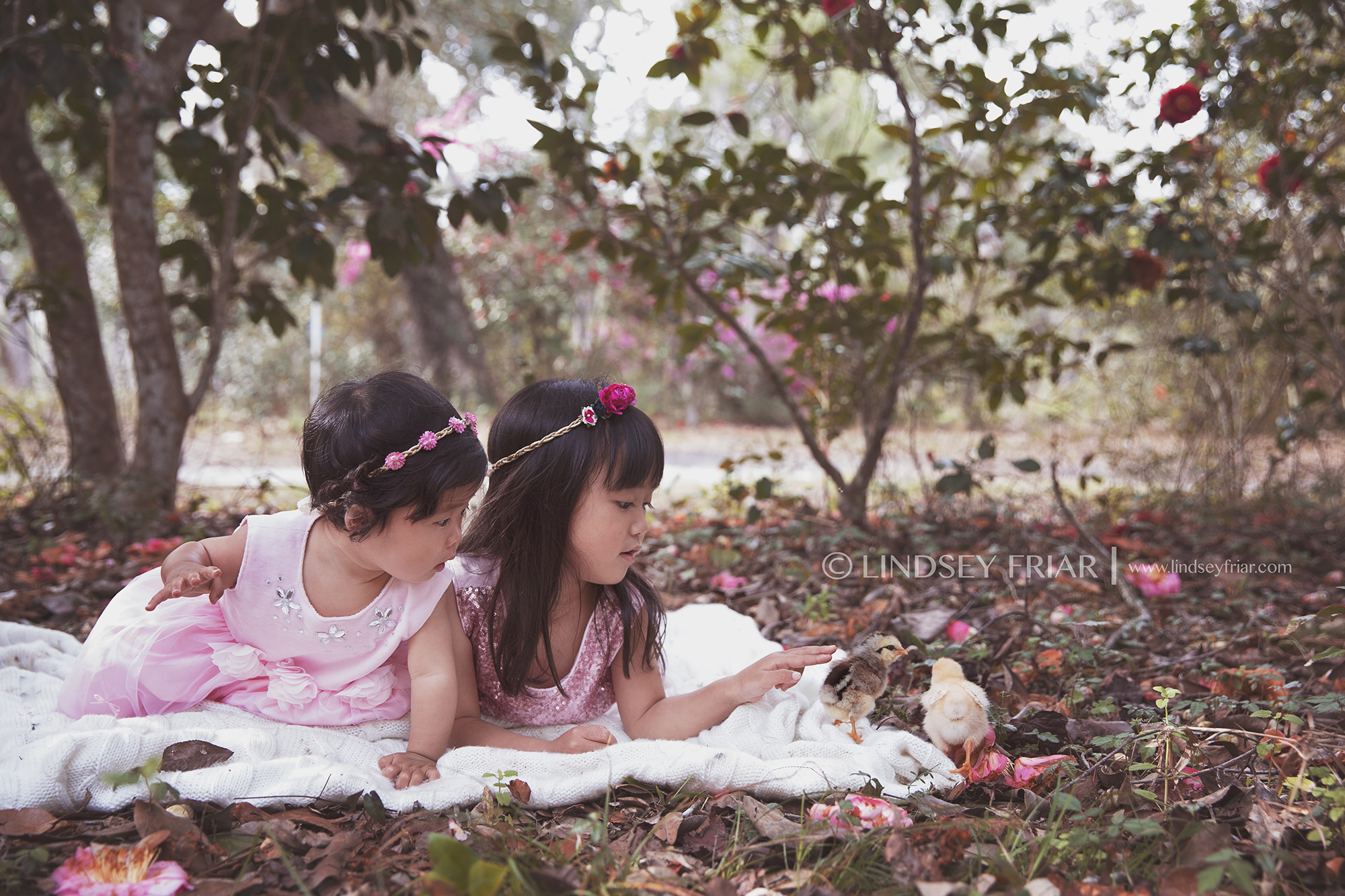Pensacola Child Photographer - Lindsey Friar Photography