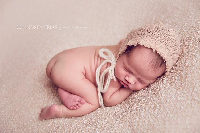 Pensacola Newborn Photographer - Lindsey Friar Photography 2015
