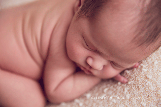 Pensacola Newborn Photographer - Lindsey Friar Photography 2015