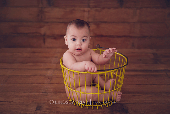 Pensacola Child Photographer - Lindsey Friar Photography