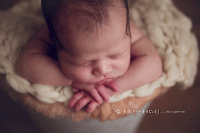 Pensacola Newborn Photographer - Lindsey Friar Photography 2015