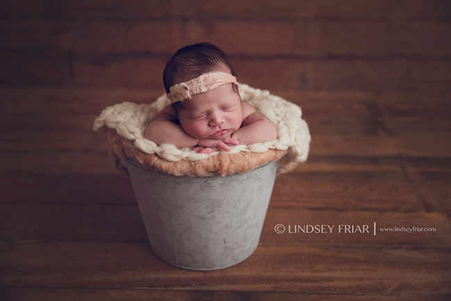 Pensacola Newborn Photographer - Lindsey Friar Photography 2015