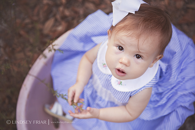 Gulf Breeze, FL,Baby Photographer - Lindsey Friar Photography 2015