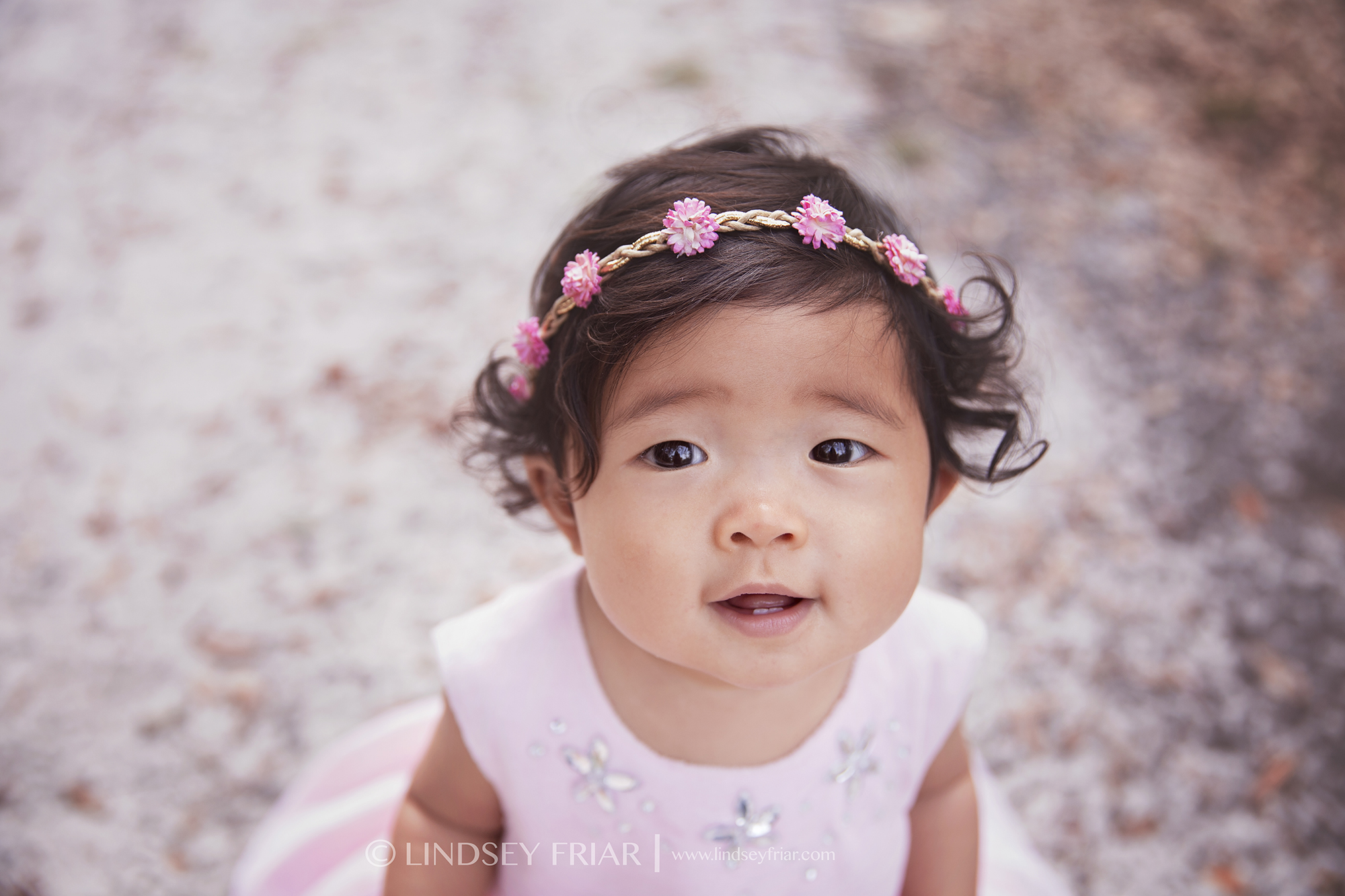 Pensacola Child Photographer - Lindsey Friar Photography