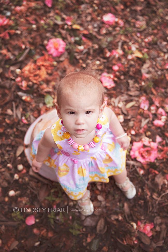 Pensacola Child Photographer - Lindsey Friar Photography