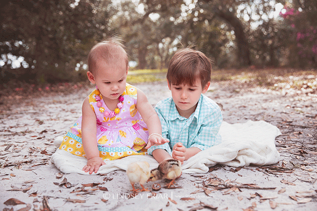 Pensacola Child Photographer - Lindsey Friar Photography