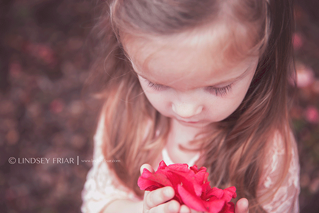 Pensacola Child Photographer - Lindsey Friar Photography Pensacola Child Photographer - Lindsey Friar Photography