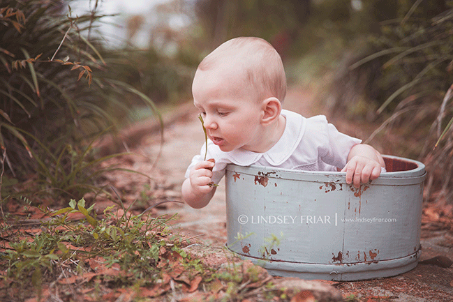 Pensacola Child Photographer - Lindsey Friar Photography