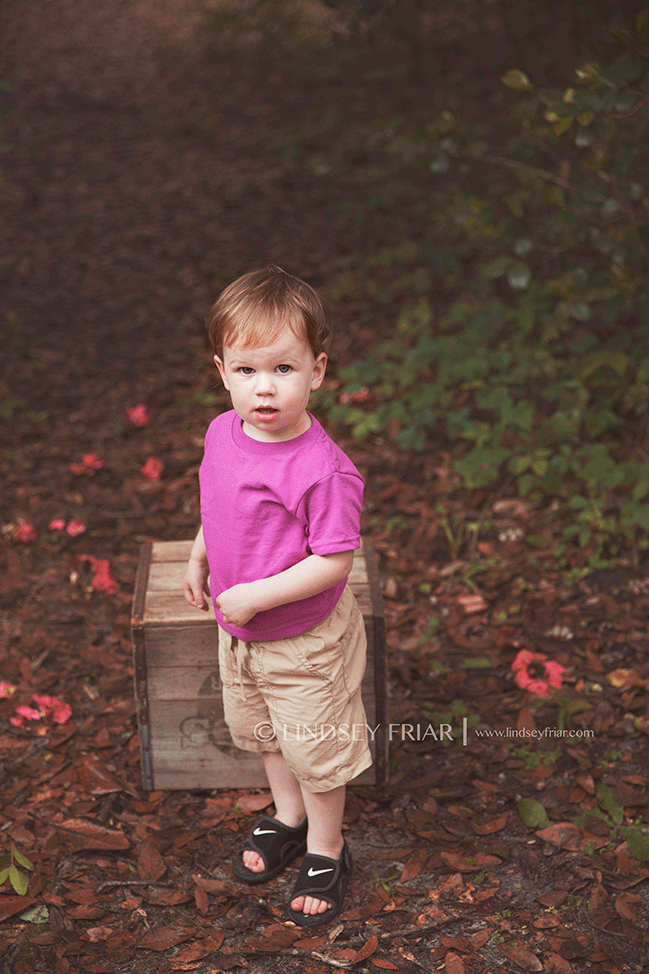 Family Mini Sessions - Pensacola, FL Photographer - Lindsey Friar Photography