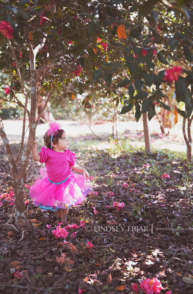 Gulf Breeze, FL Family Photographer - Lindsey Friar Photography