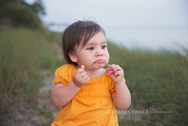 Gulf Breeze, FL Family Photographer - Lindsey Friar Photography