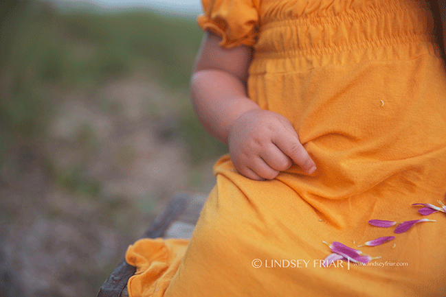 Gulf Breeze, FL Family Photographer - Lindsey Friar Photography
