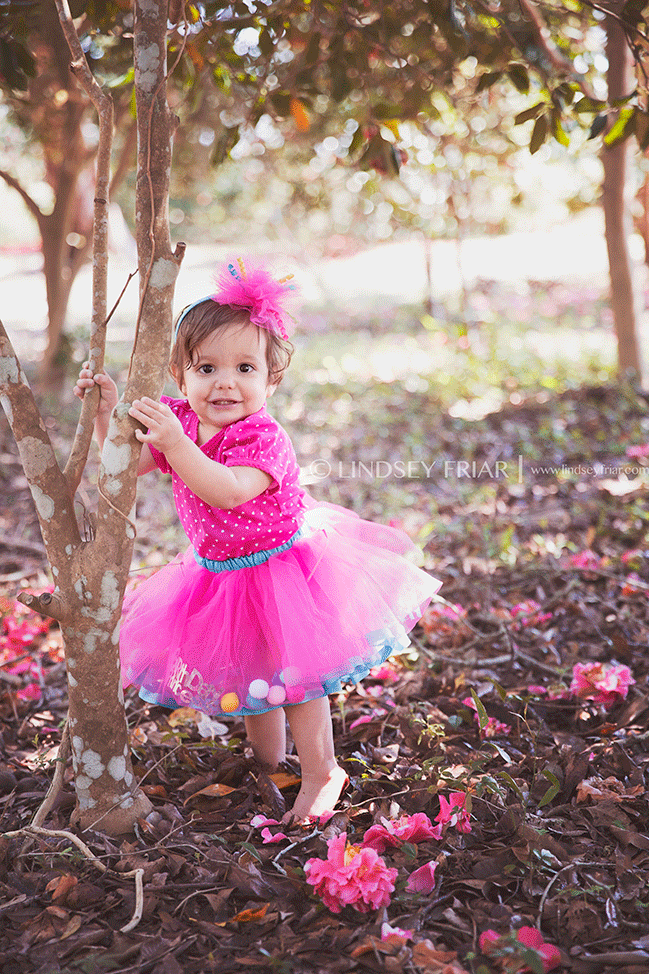 Gulf Breeze, FL Family Photographer - Lindsey Friar Photography