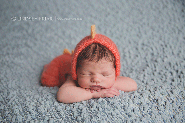 Newborn Photographer - Pensacola, FL Photographer - Lindsey Friar Photography