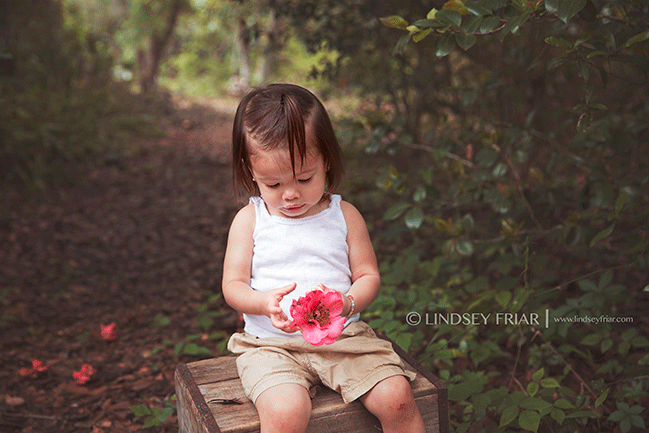 Family Mini Sessions - Pensacola, FL Photographer - Lindsey Friar Photography
