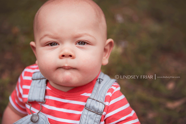 Gulf Breeze, FL Baby Photographer Lindsey Friar Photography 2015 Gulf Breeze, FL Baby Photographer Lindsey Friar Photography 2015