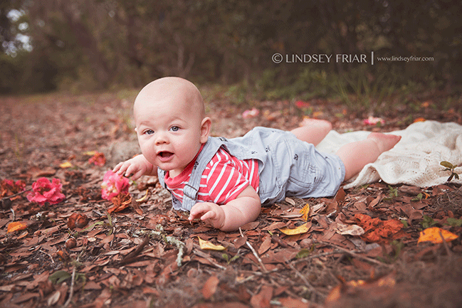 Gulf Breeze, FL Baby Photographer Lindsey Friar Photography 2015 Gulf Breeze, FL Baby Photographer Lindsey Friar Photography 2015