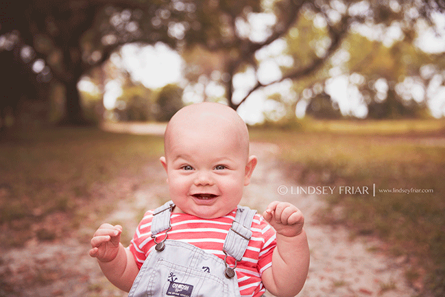 Gulf Breeze, FL Baby Photographer Lindsey Friar Photography 2015 Gulf Breeze, FL Baby Photographer Lindsey Friar Photography 2015