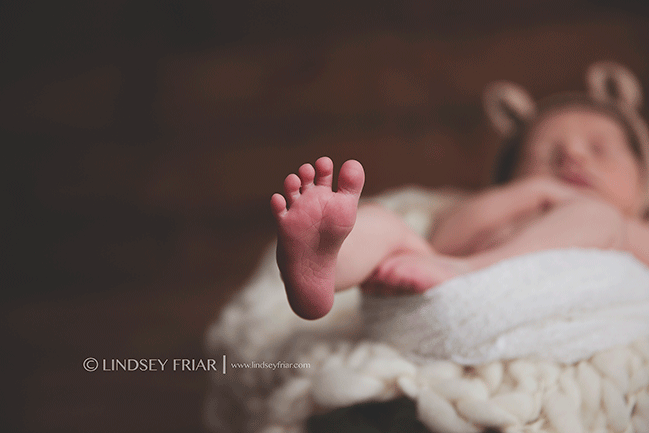 Newborn Photographer - Pensacola, FL Photographer - Lindsey Friar Photography