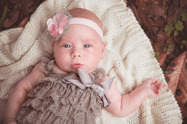Family Mini Sessions - Pensacola, FL Photographer - Lindsey Friar Photography