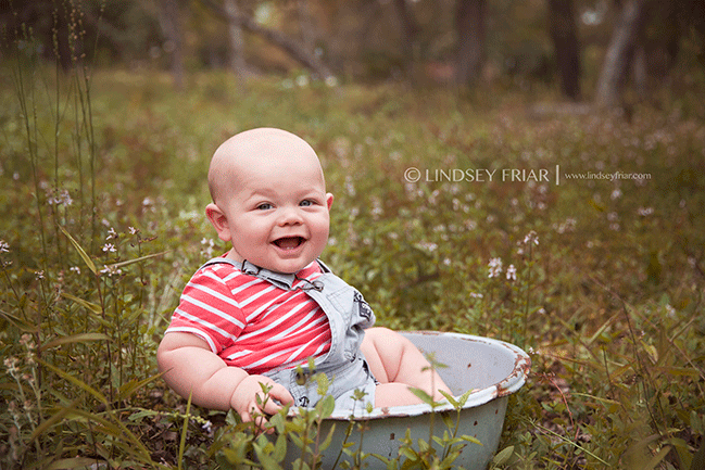 Gulf Breeze, FL Baby Photographer Lindsey Friar Photography 2015 Gulf Breeze, FL Baby Photographer Lindsey Friar Photography 2015