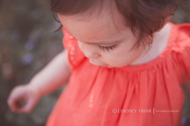 Gulf Breeze, FL Family Photographer - Lindsey Friar Photography