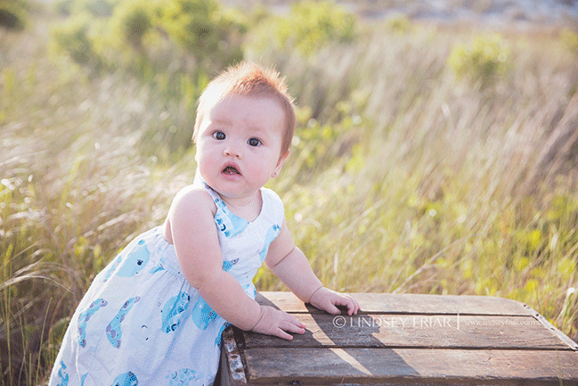 Pensacola Beach, FL - Family Photographer - Lindsey Friar Photography