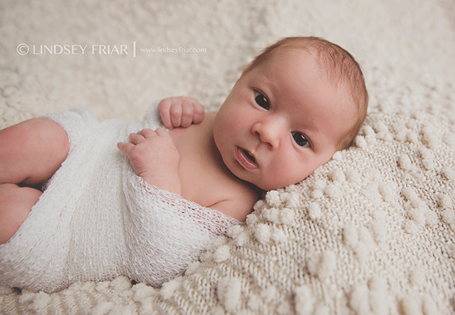 Pensacola, FL, Newborn Photographer - Lindsey Friar Photography 2015