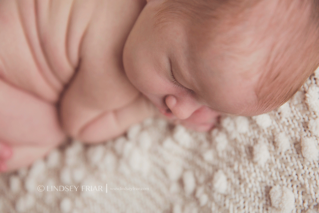 Pensacola, FL, Newborn Photographer - Lindsey Friar Photography 2015