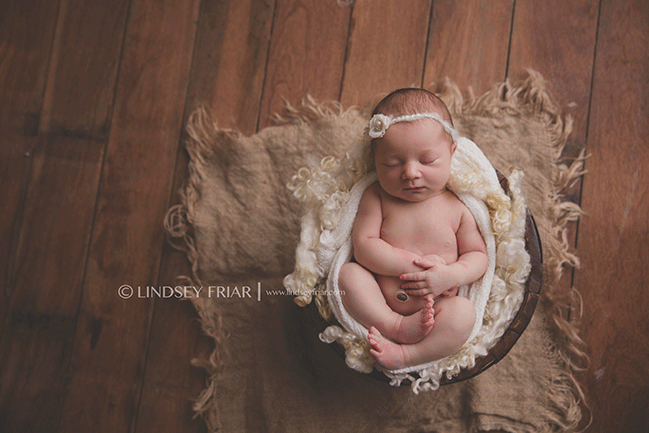 Pensacola, FL, Newborn Photographer - Lindsey Friar Photography 2015