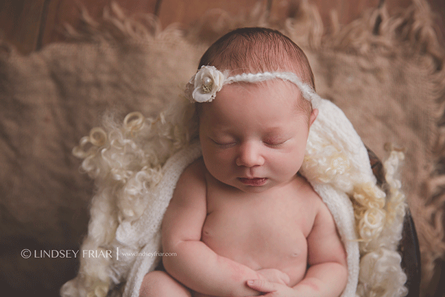 Pensacola, FL, Newborn Photographer - Lindsey Friar Photography 2015