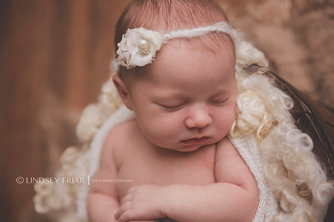 Pensacola, FL, Newborn Photographer - Lindsey Friar Photography 2015