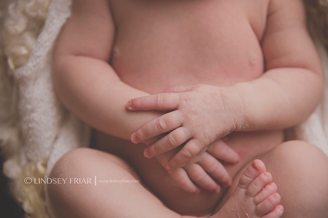 Pensacola, FL, Newborn Photographer - Lindsey Friar Photography 2015