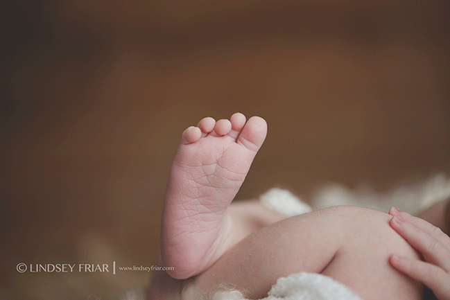 Pensacola, FL, Newborn Photographer - Lindsey Friar Photography 2015