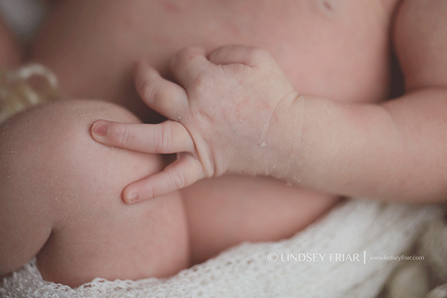 Pensacola, FL, Newborn Photographer - Lindsey Friar Photography 2015