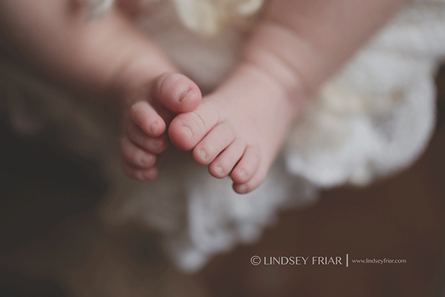 Pensacola, FL, Newborn Photographer - Lindsey Friar Photography 2015