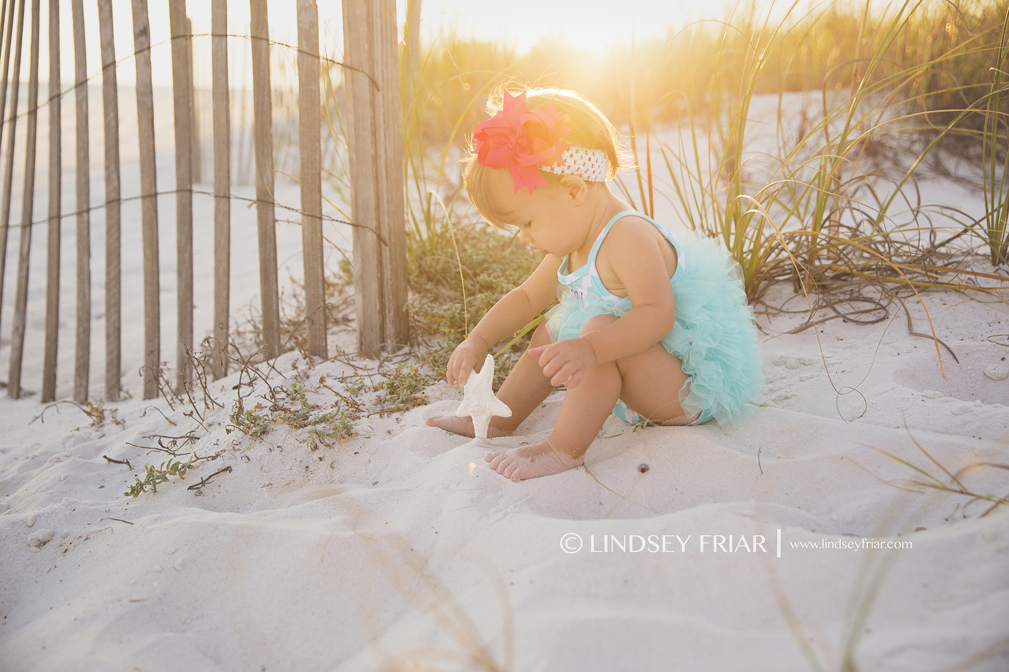 Pensacola, FL Photographer - Lindsey Friar Photography