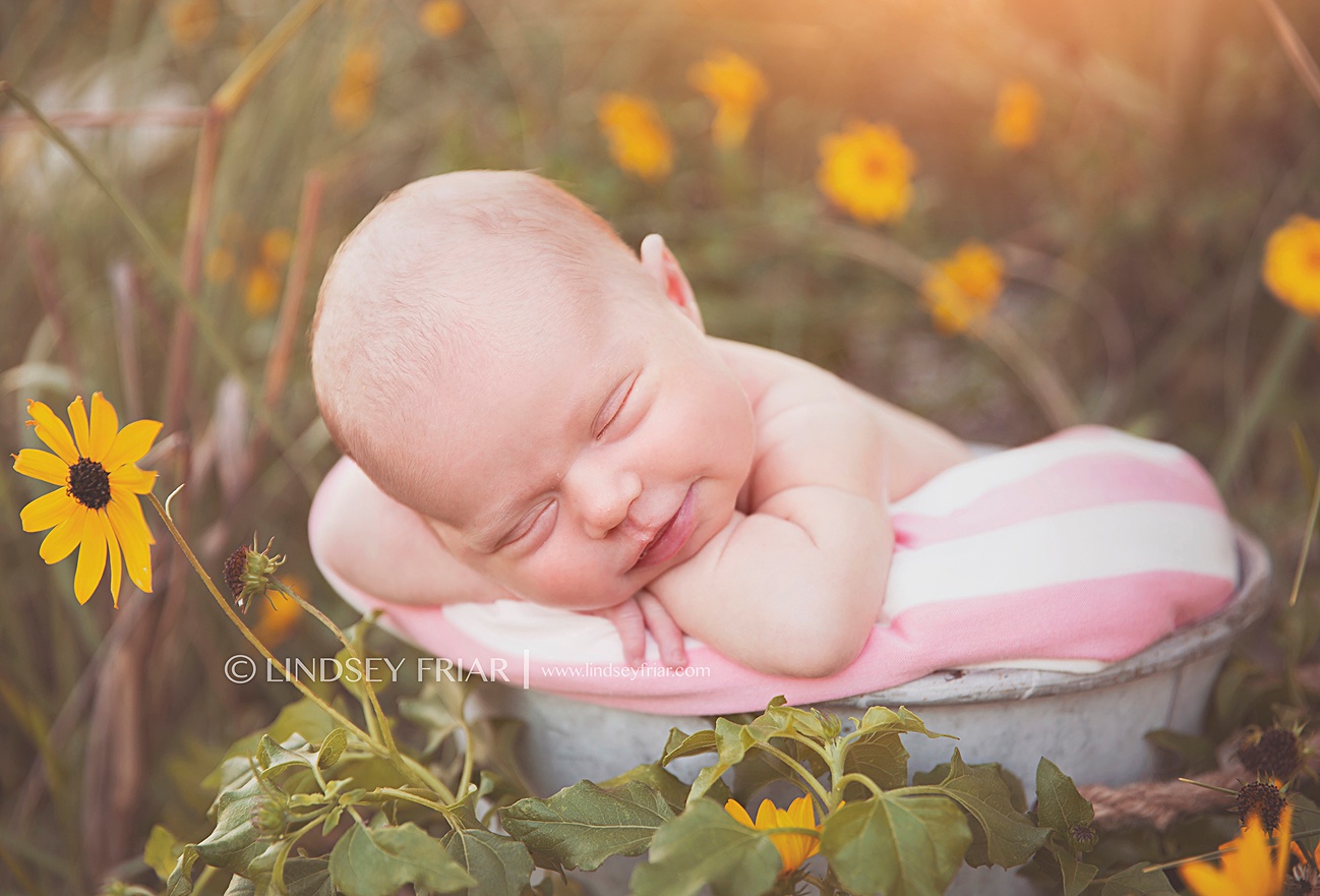 Pensacola, FL Photographer - Lindsey Friar Photography