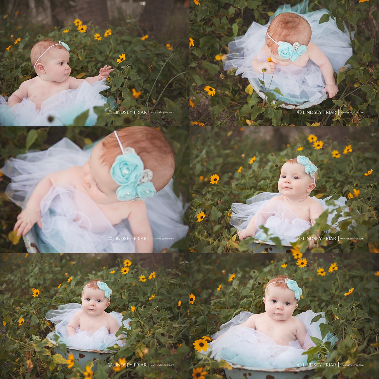 Pensacola, FL Family Photographer - Lindsey Friar Photography