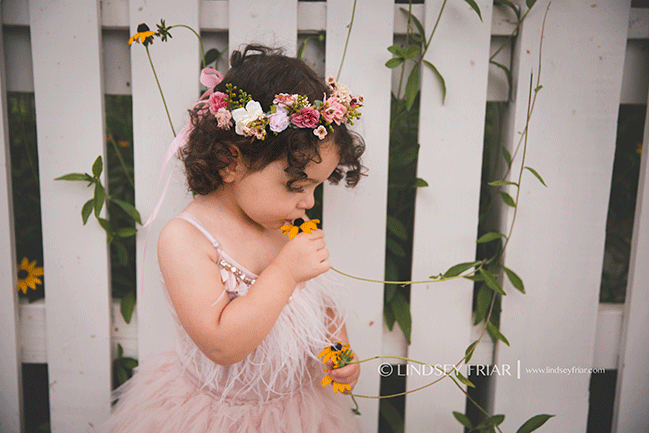 Pensacola , FL, Baby Photography - Lindsey Friar Photography 2015