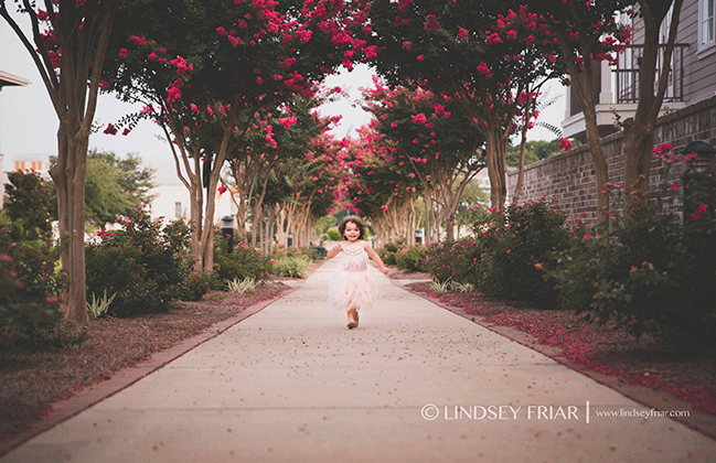 Pensacola , FL, Baby Photography - Lindsey Friar Photography 2015