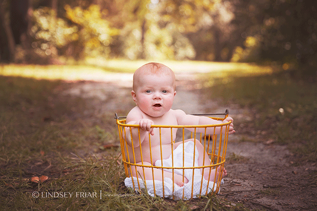 Pensacola, FL Baby Photographer - Lindsey Friar Photography 2015 