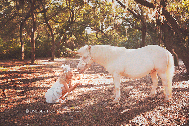 Pensacola, FL Child Photographer - Lindsey Friar Photography 2015