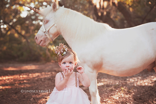 Pensacola, FL Child Photographer - Lindsey Friar Photography 2015