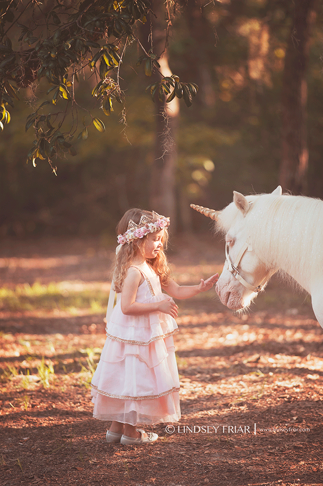 Pensacola, FL Child Photographer - Lindsey Friar Photography 2015